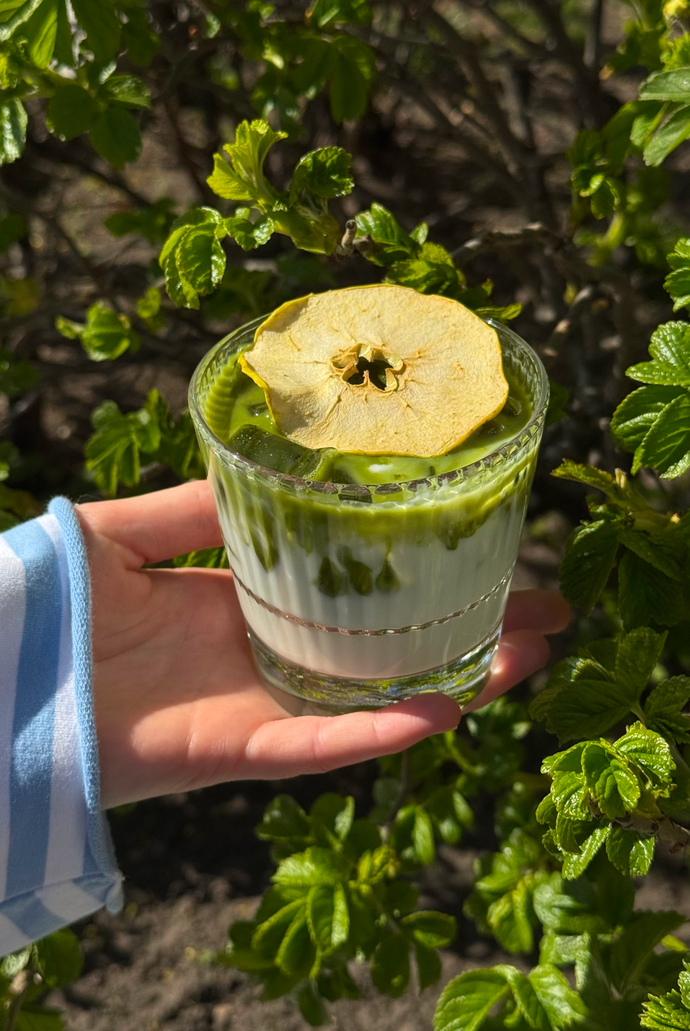 Матча-кефир — пример ответа на тренд на сложные вкусы в напитках