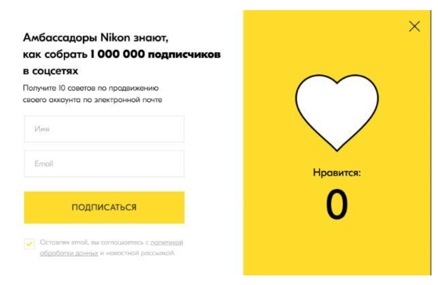 Форма сбора контактов на сайте компании Nikon