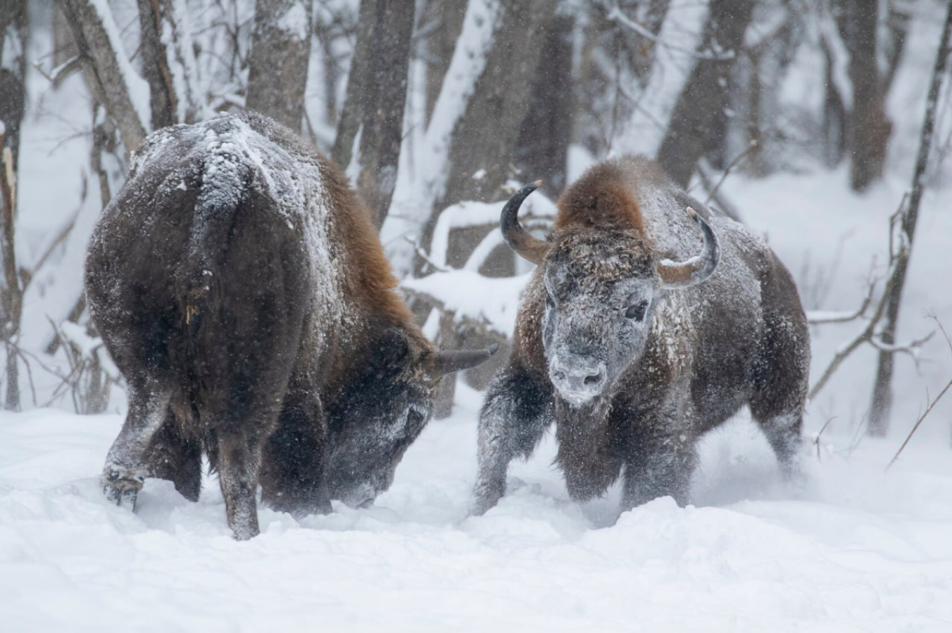 Экотуры, туристические тренды