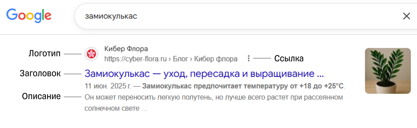 Сниппеты в поисковой выдаче Google с заголовками, описаниями и изображениями