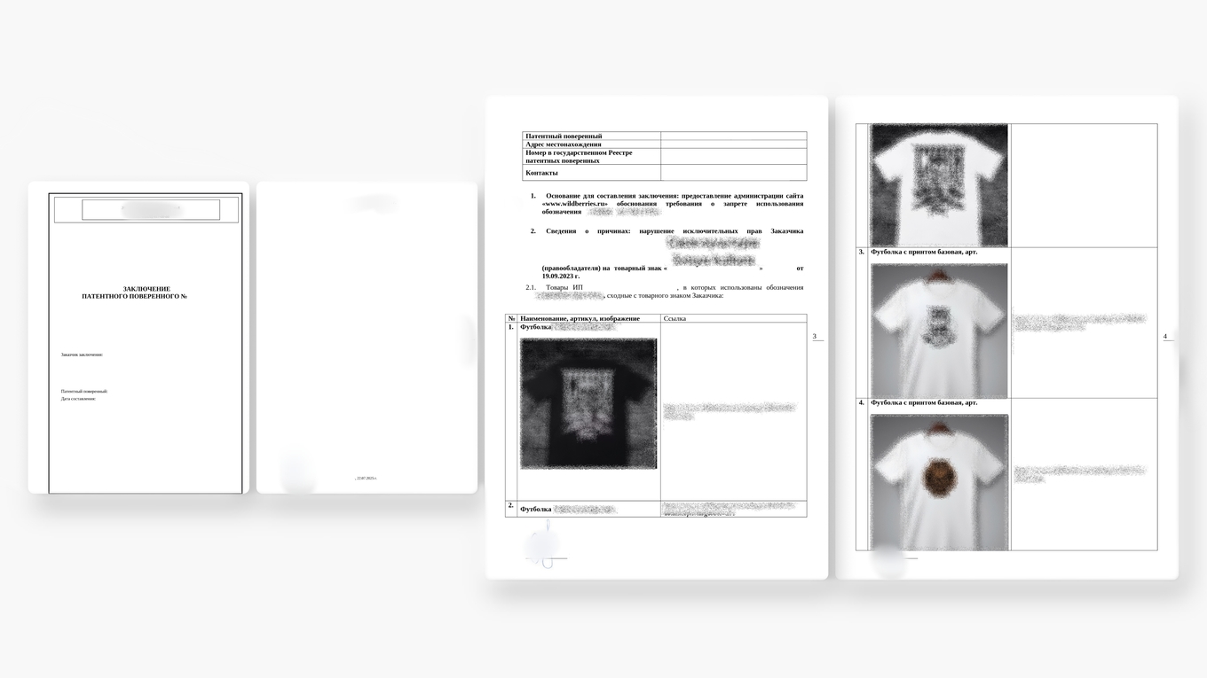 Заключение патентного поверенного