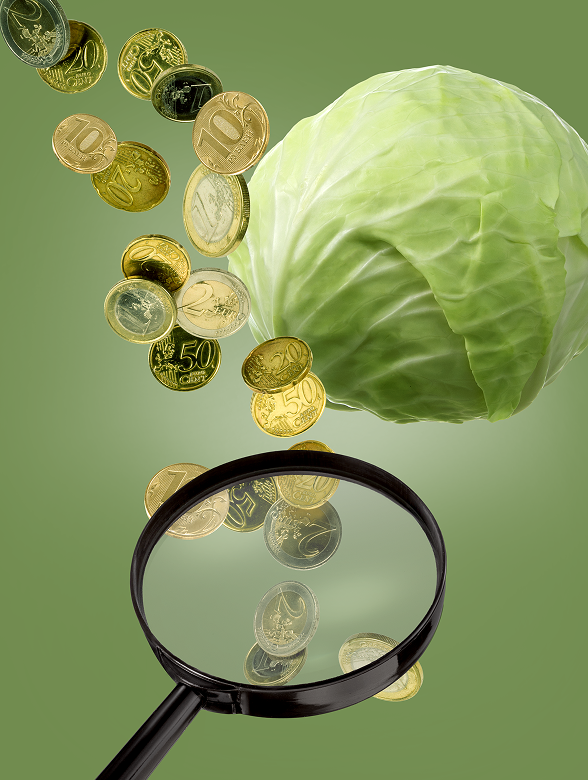 Где найти деньги на открытие бизнеса