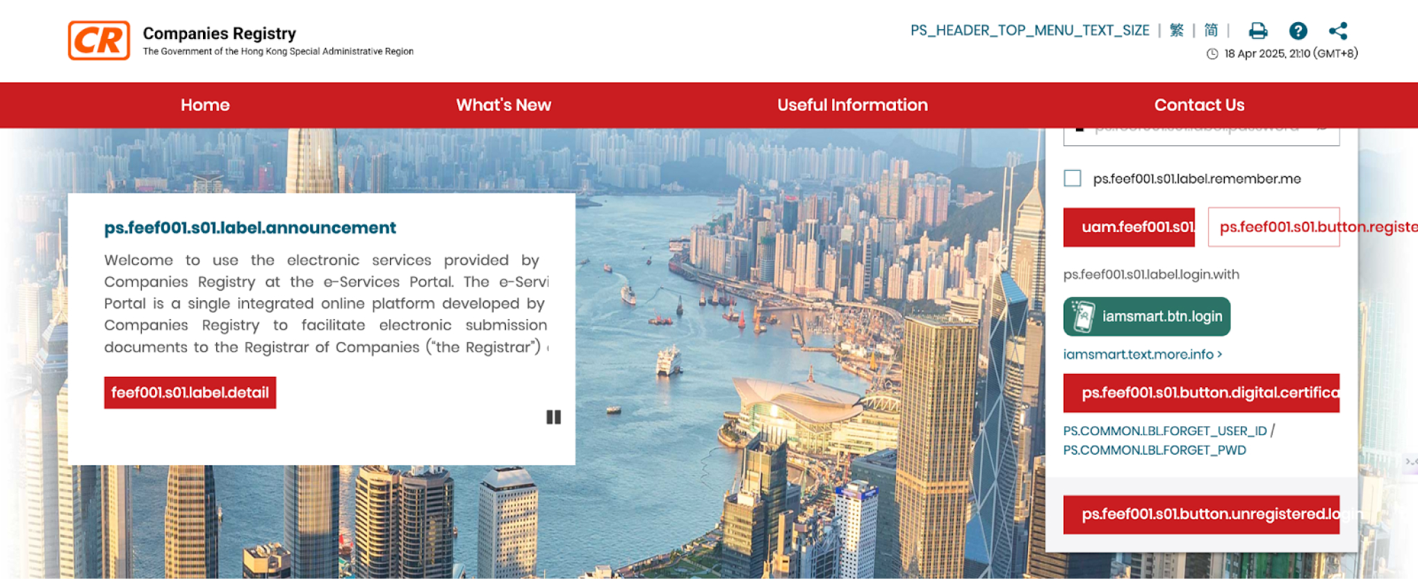 Электронная система Companies Registry