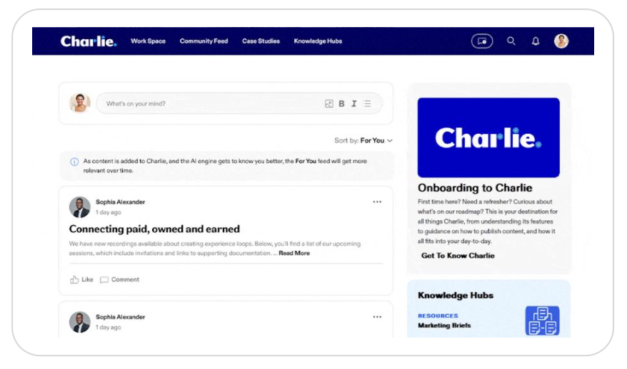 Интерфейс платформы Charlie