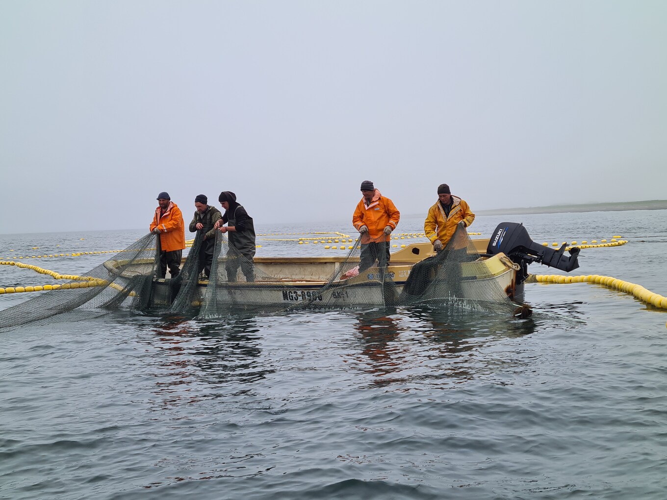 ООО Тройка, Тройка, лосось, добыча лосося, купить рыбу оптом