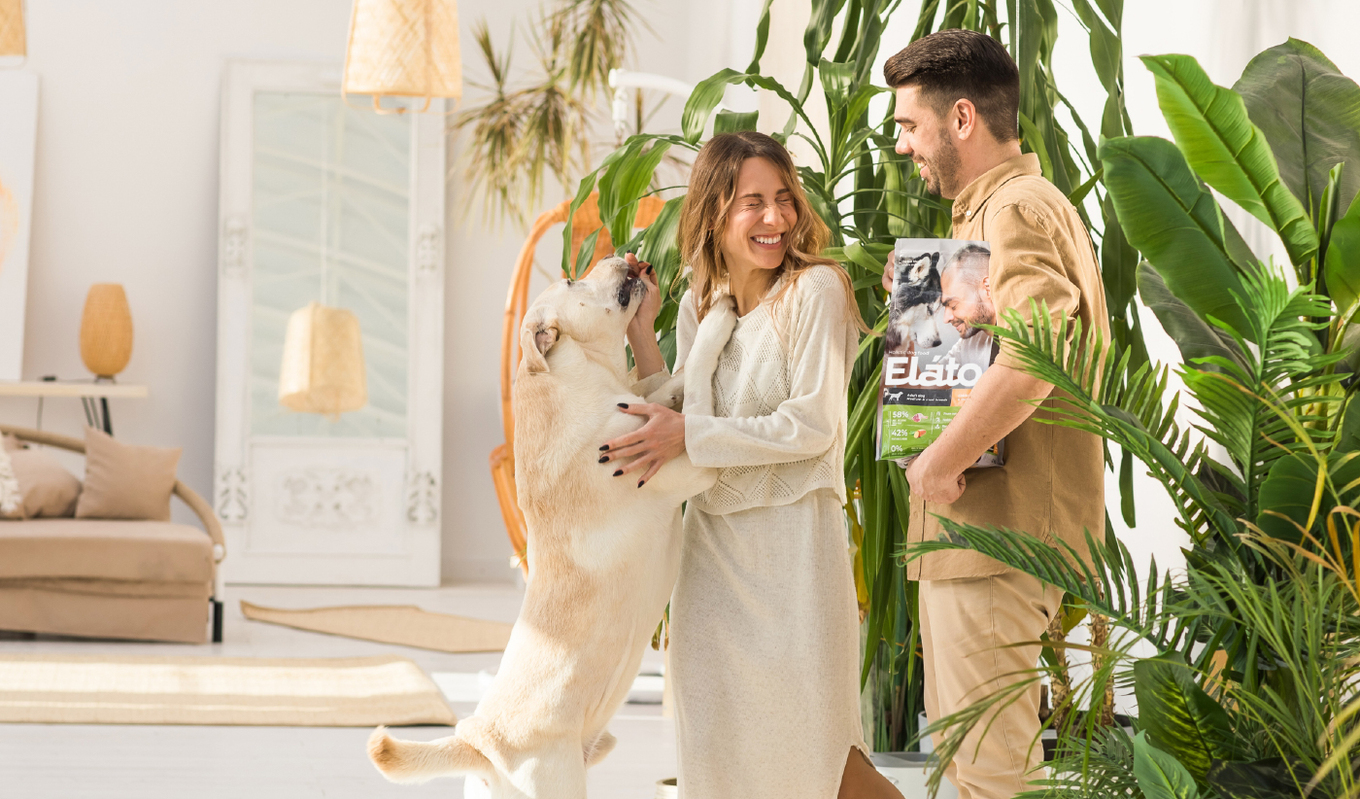 Фотосессия для упаковки корма Elato настоящие владельцы с собаками и кошками