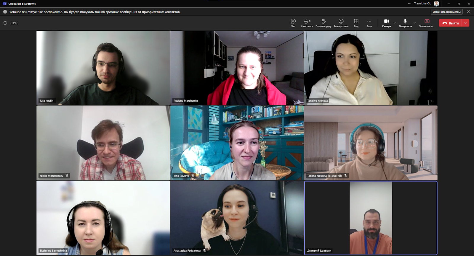 Скриншот созвона