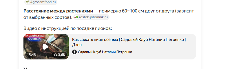 В ответы «Алисы» могут подтягиваться видео из Rutube, Дзена или VK-видео