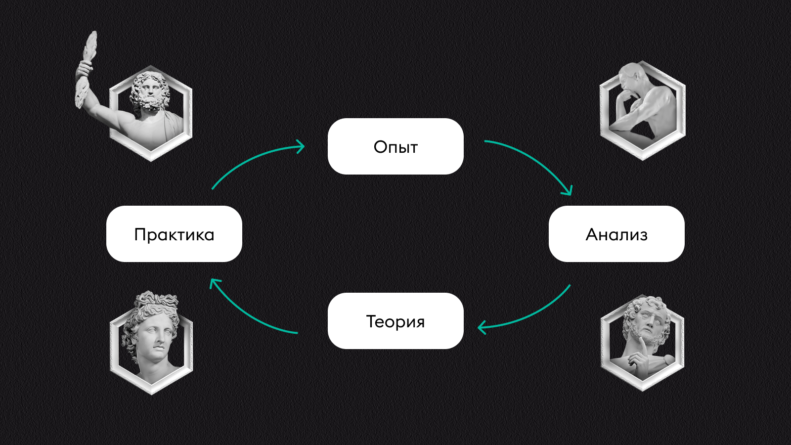 Иллюстрация «Цикла Колба»