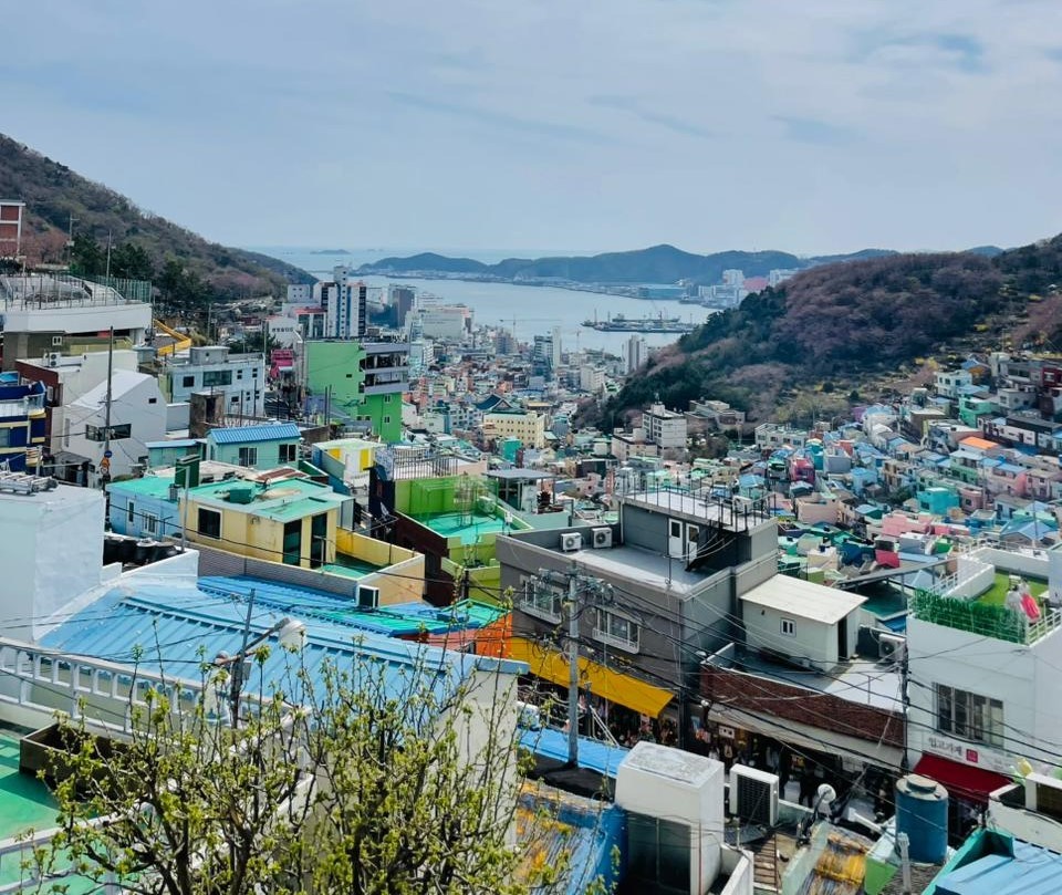 Культурная деревня Камчхон; Камчхон; квартал Камчхон; достопримечательности Пусана; куда сходить в Пусане; лечение в Корее