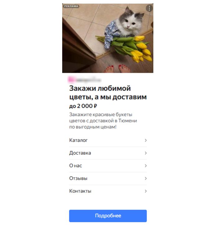 рекламное объявление с изображением кота с букетом в лапах
