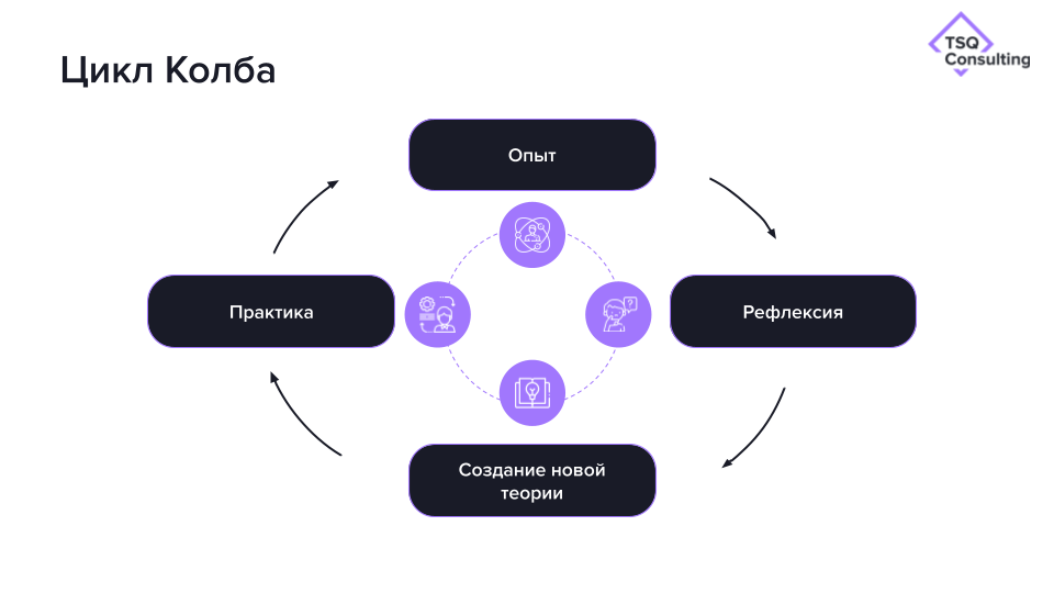 Инфографика: цикл Колба