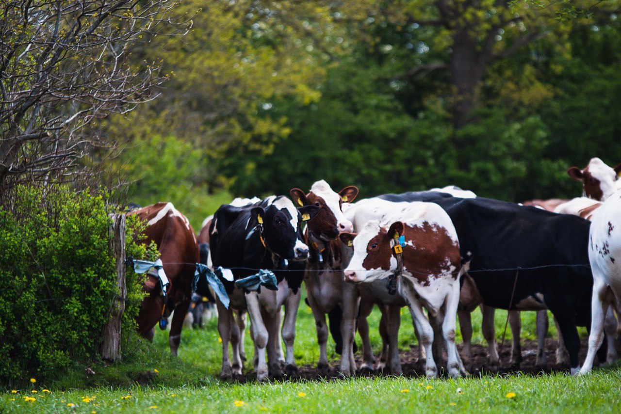 системное управление