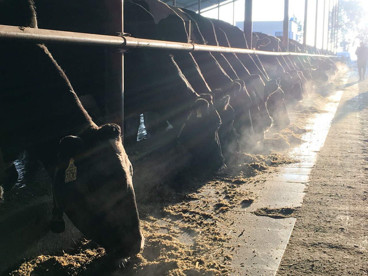 генетика на первом месте