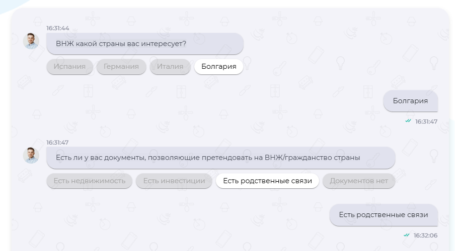 Интерфейс чат лендинга по оформлению ВНЖ с выбором страны и проверкой наличия оснований для подачи заявки