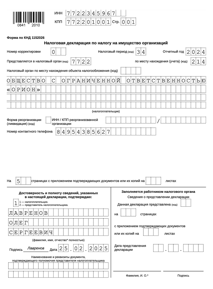Образец первичной налоговой декларации