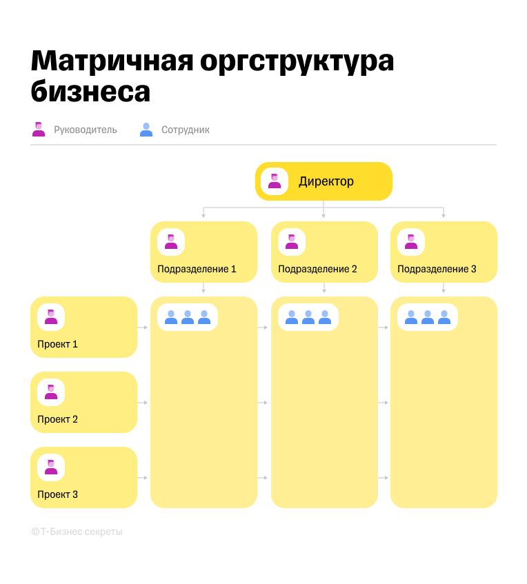Пример матричной оргструктуры