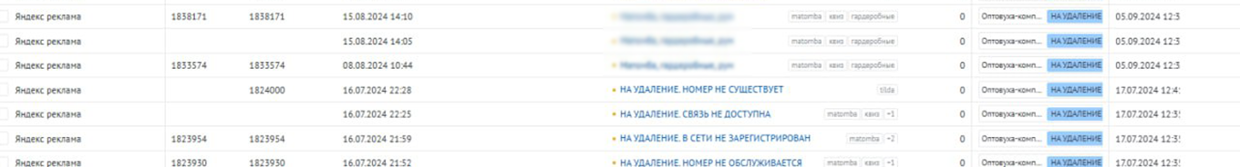 Скриншот из CRM-системы с невалидными заявками