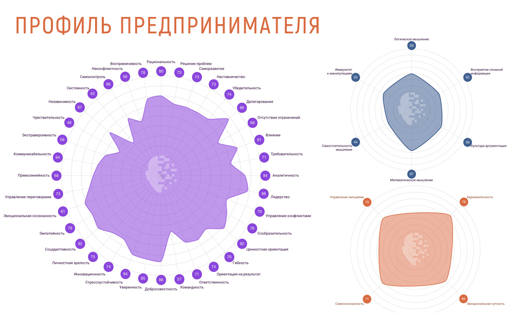 Профиль предпринимателя