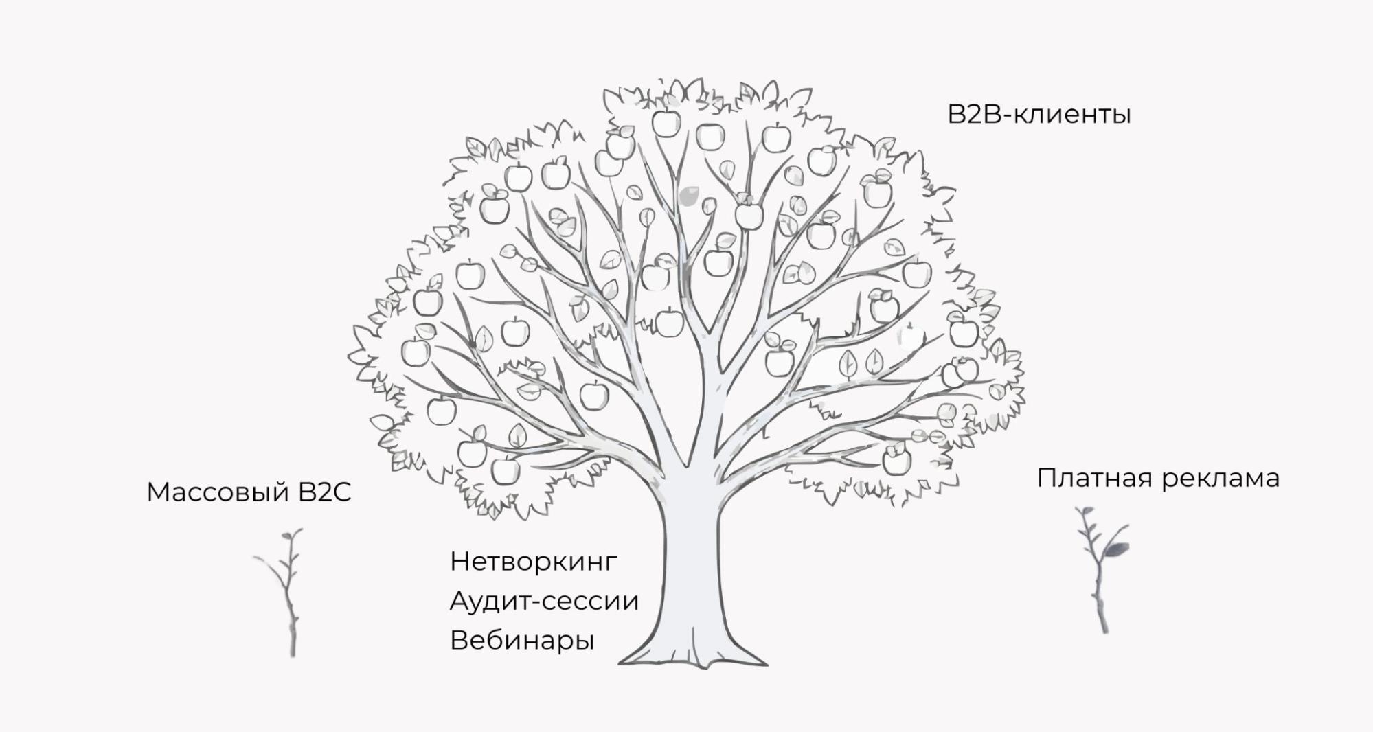 Скетч дерева клиентского потока: на прочных корнях нетворкинга, аудит‑сессий и вебинаров вырастают главные B2B‑плоды, а массовый B2C и платная реклама остаются небольшими побегами по краям