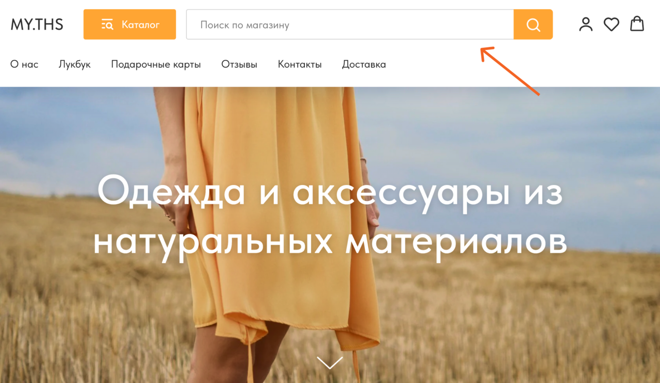 Пример строки поиска в интернет-магазине