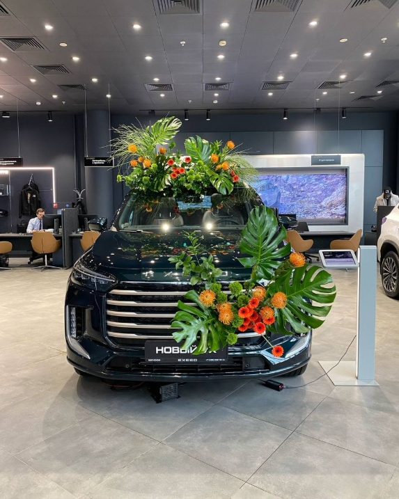 Оформление EXEED VX