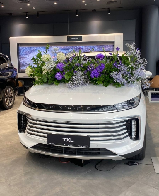 Оформление EXEED TXL