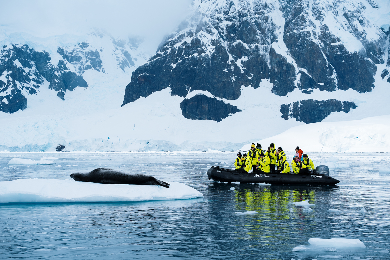 Авторский тур агентства путешествий NEVEREND в Антарктиду
