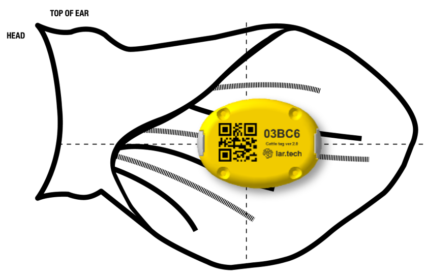 Пример прибора, не вышедшего в серию – умная бирка для скота с GPS-трекером и акселерометром