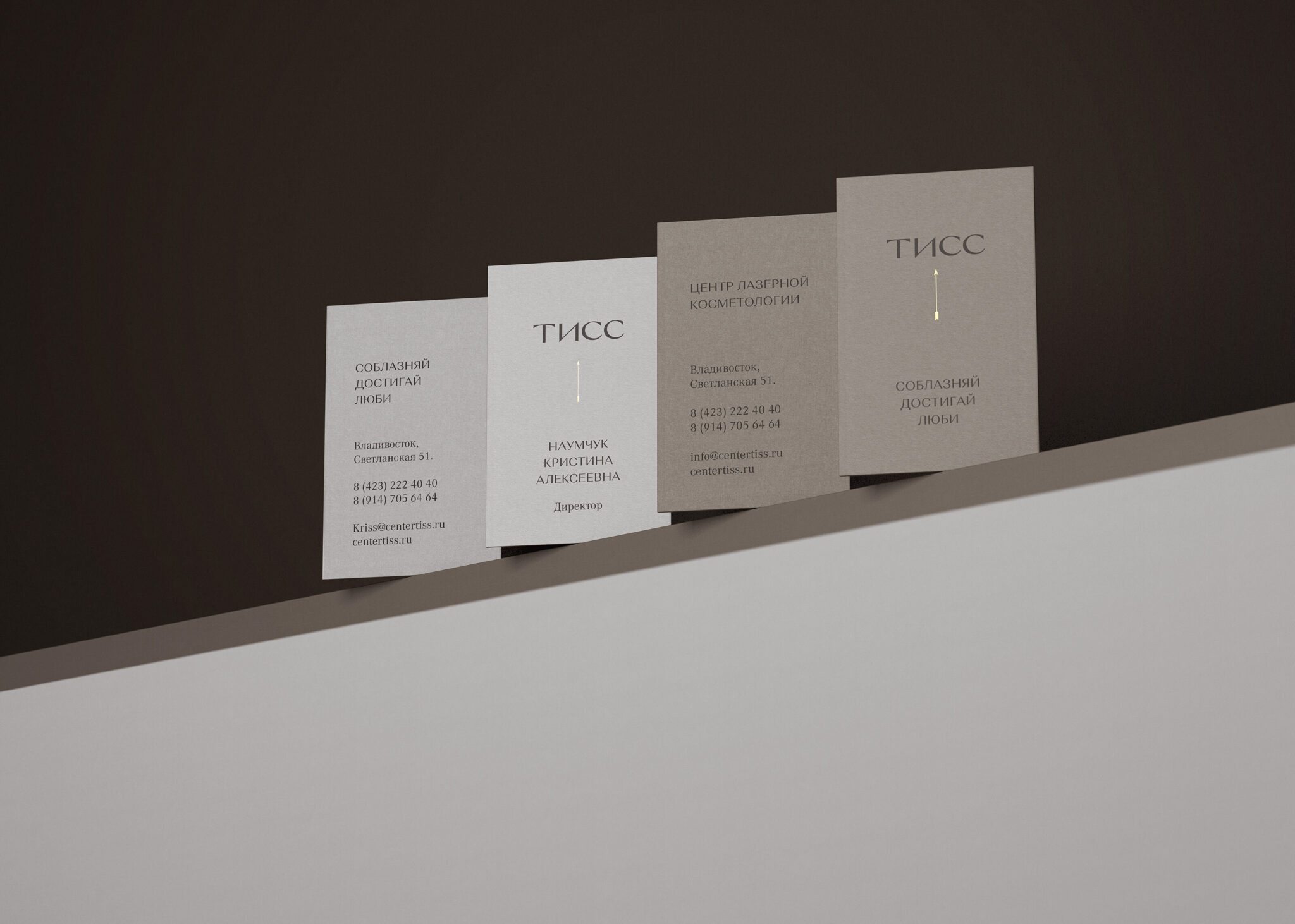 Визитка фирменный стиль