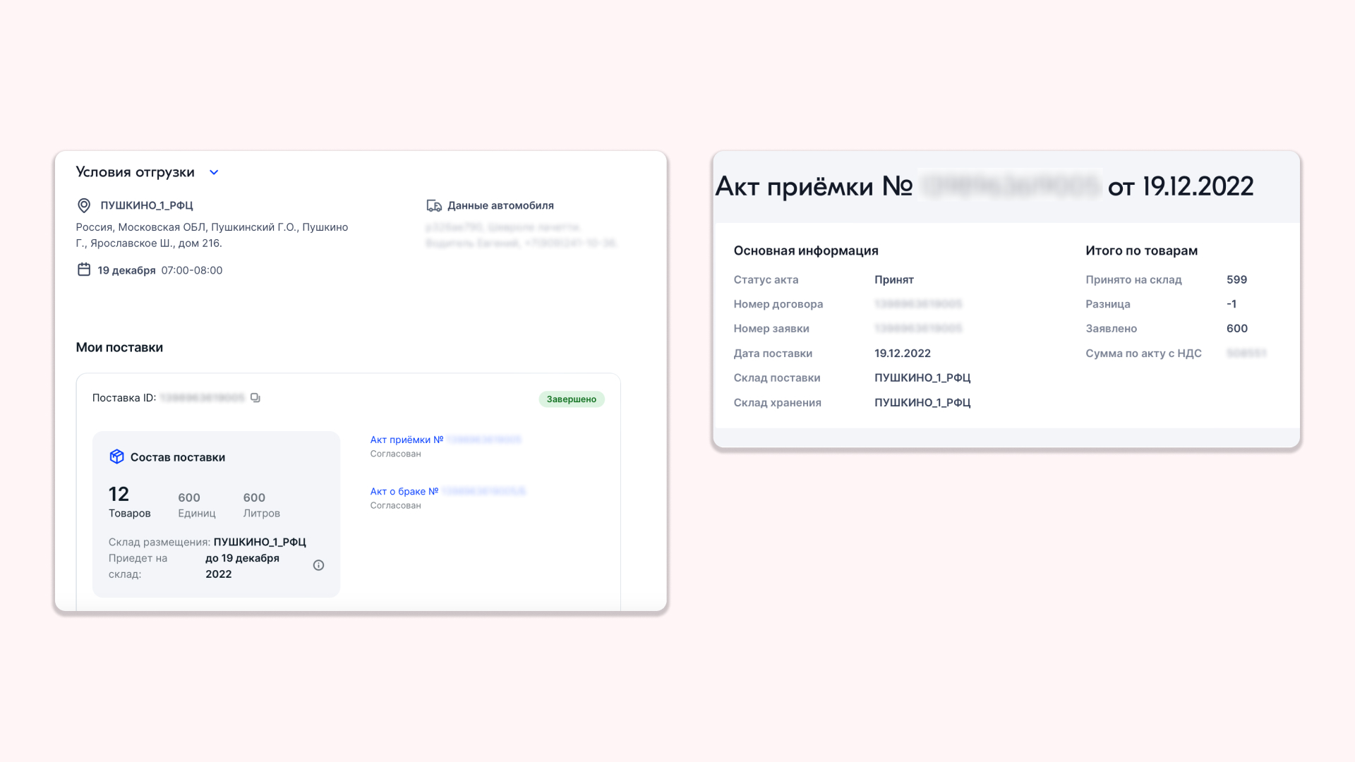 Скриншот параметров доставки
