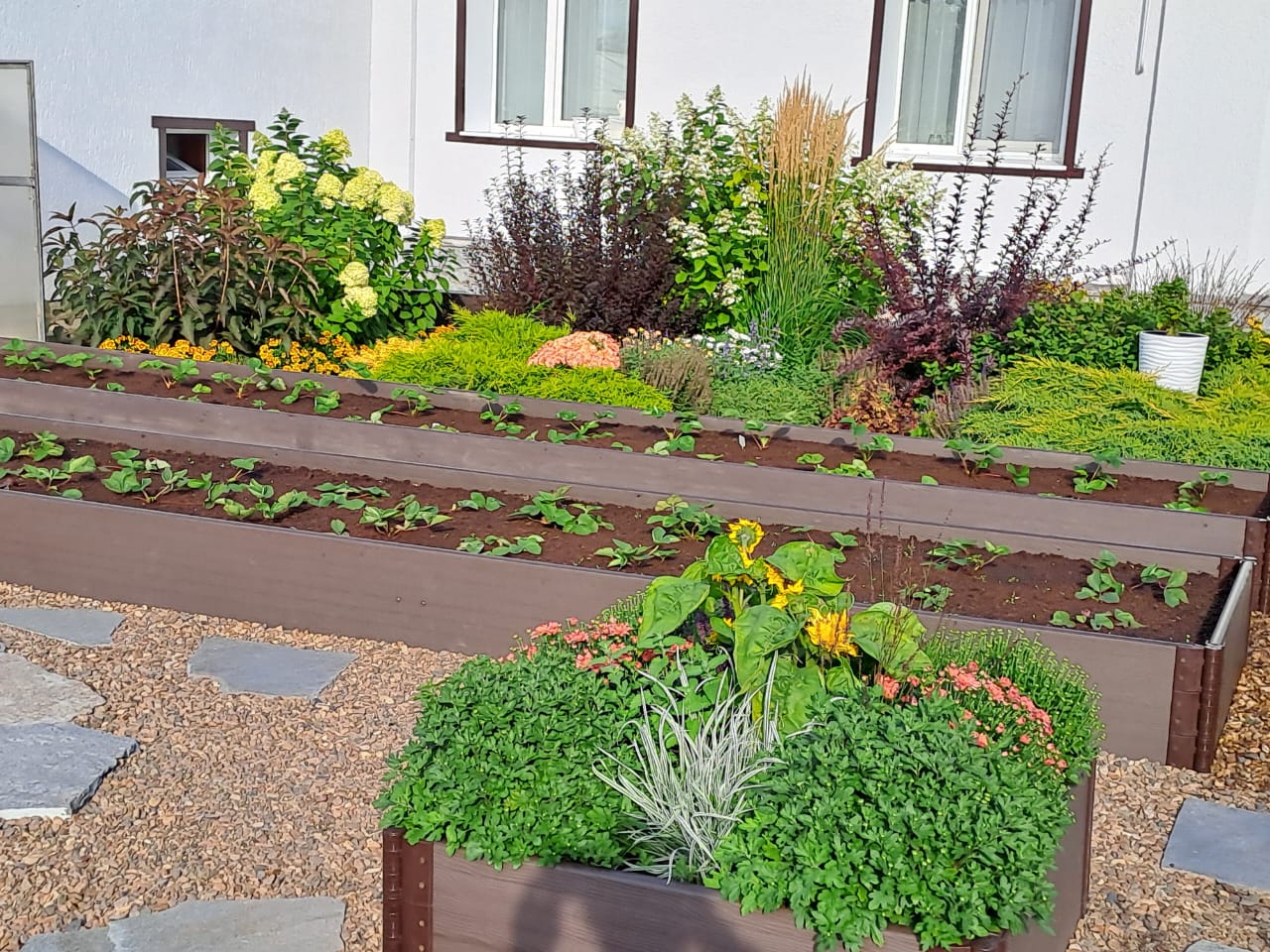 Грядки из ДПК