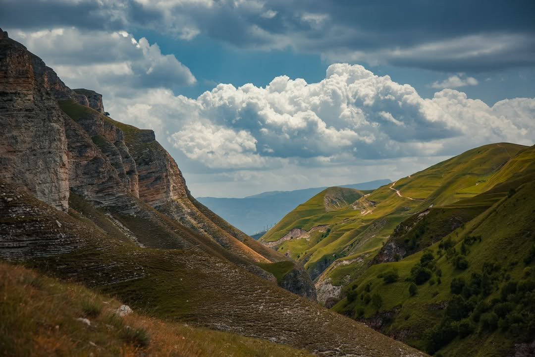 Фотография природы