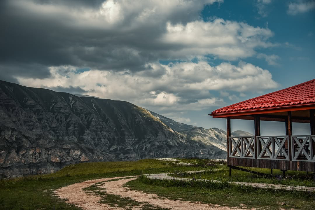 Фотография природы