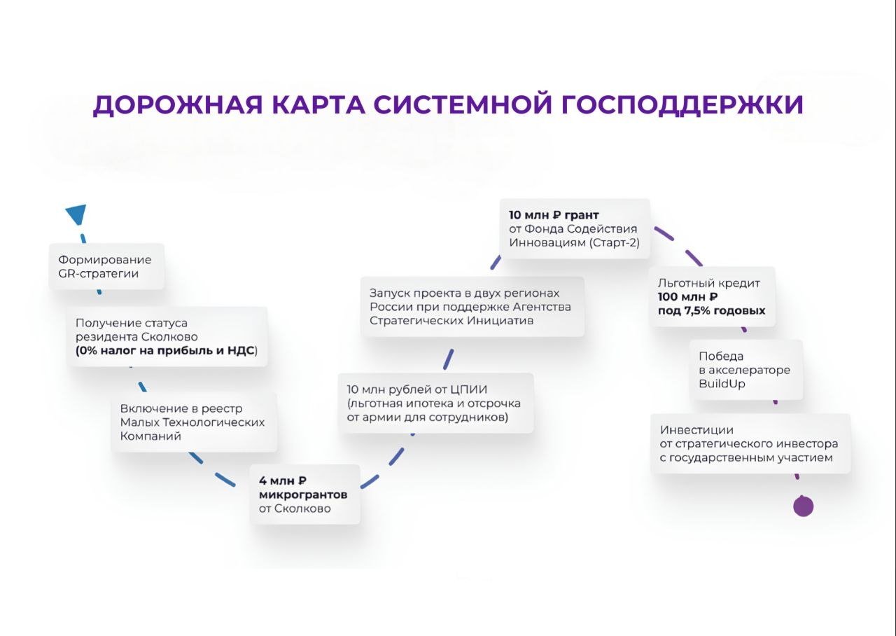 Системная господдержка