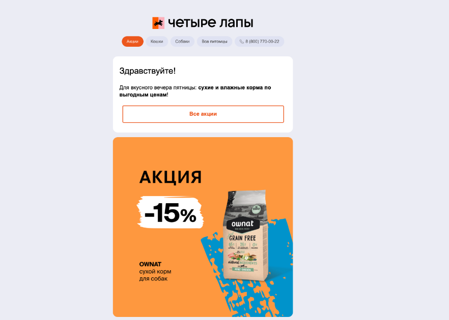Email-рассылка зоомагазина «Четыре лапы»