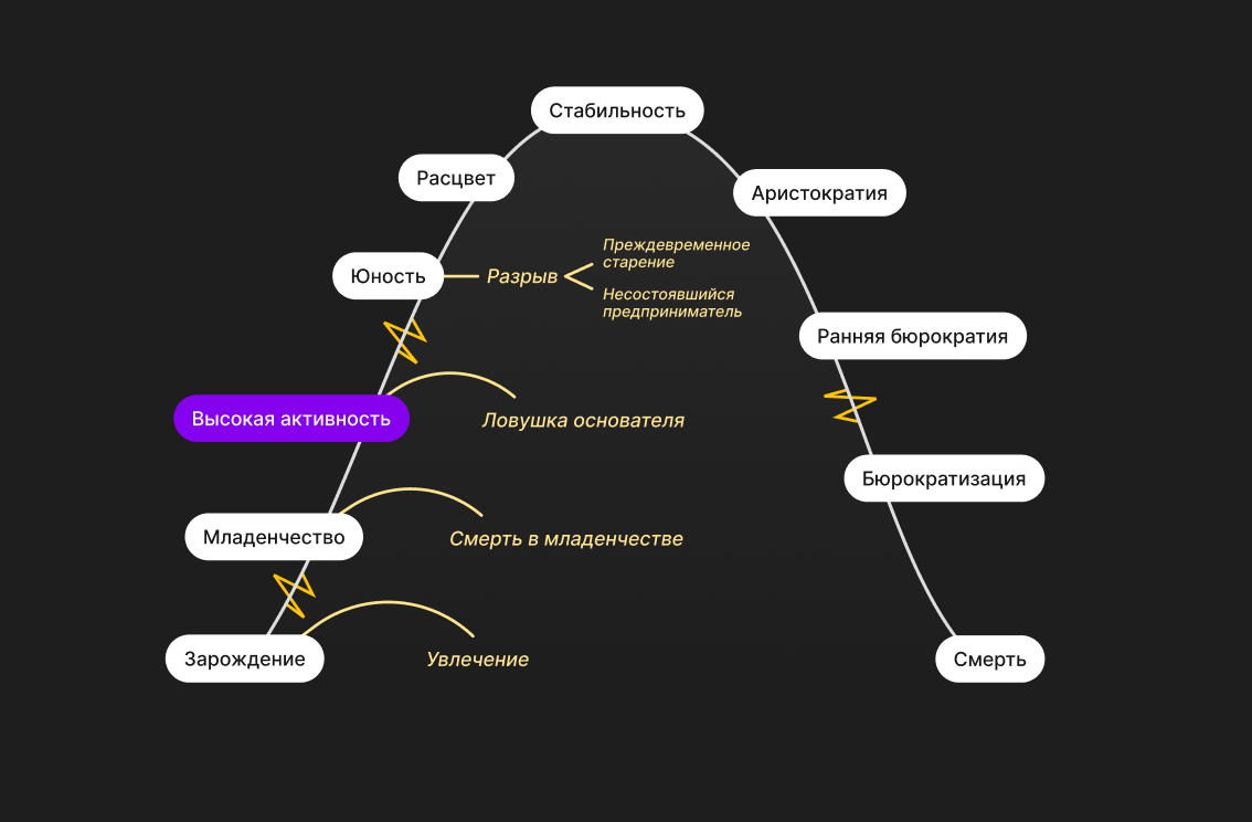 Схема этапов жизненного цикла компании. Выделен этап «Давай-давай». Отмечена ловушка основателя на пути к Юности