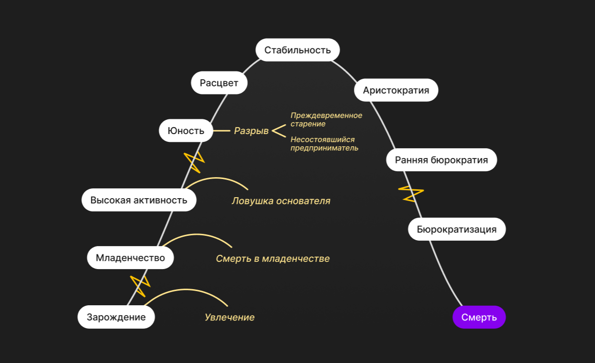 Схема этапов жизненного цикла компании. Выделен этап «Смерть».