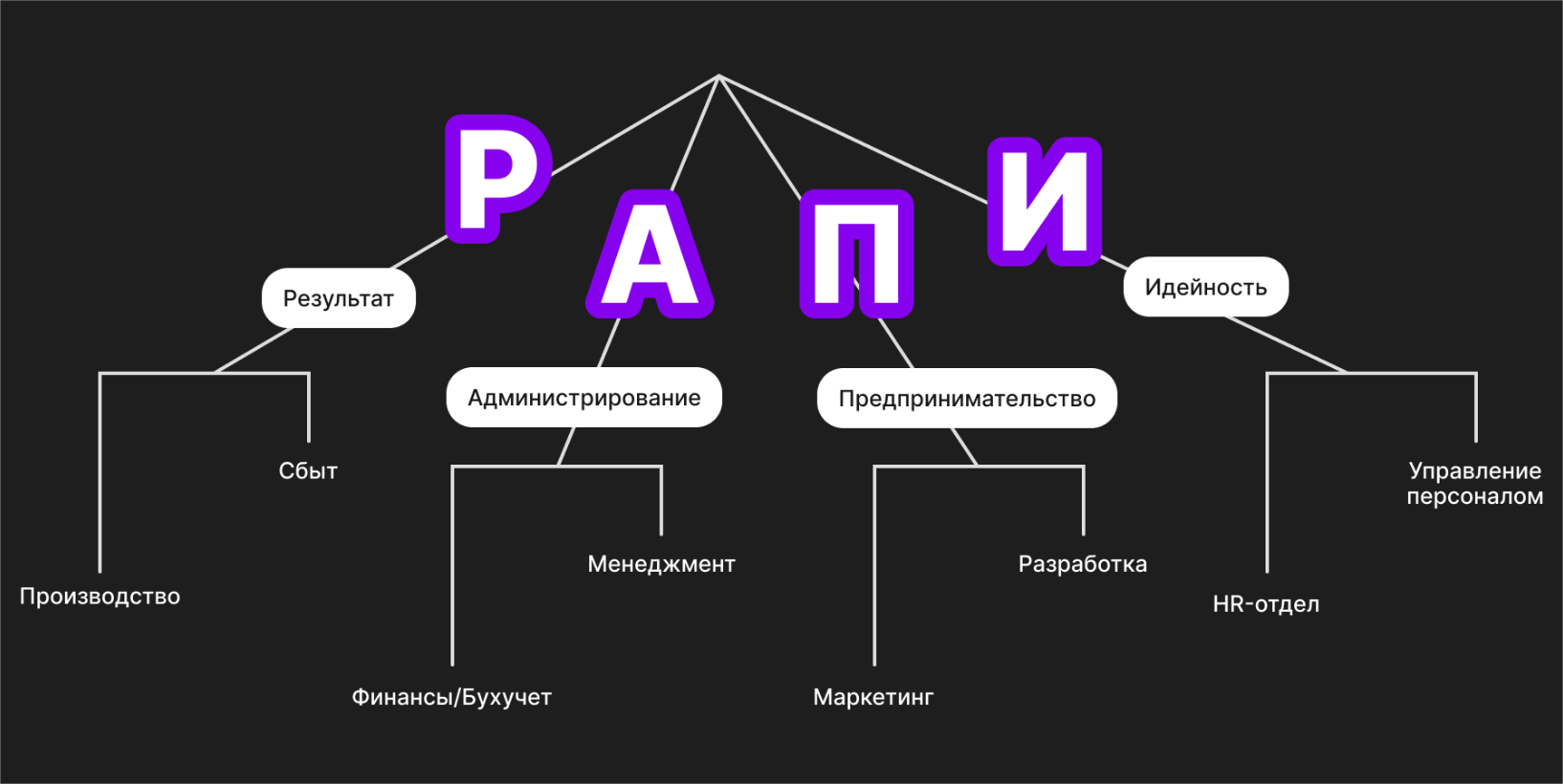 Схематичное изображение модели PAIE — сбалансированная структура компании на этапе расцвета