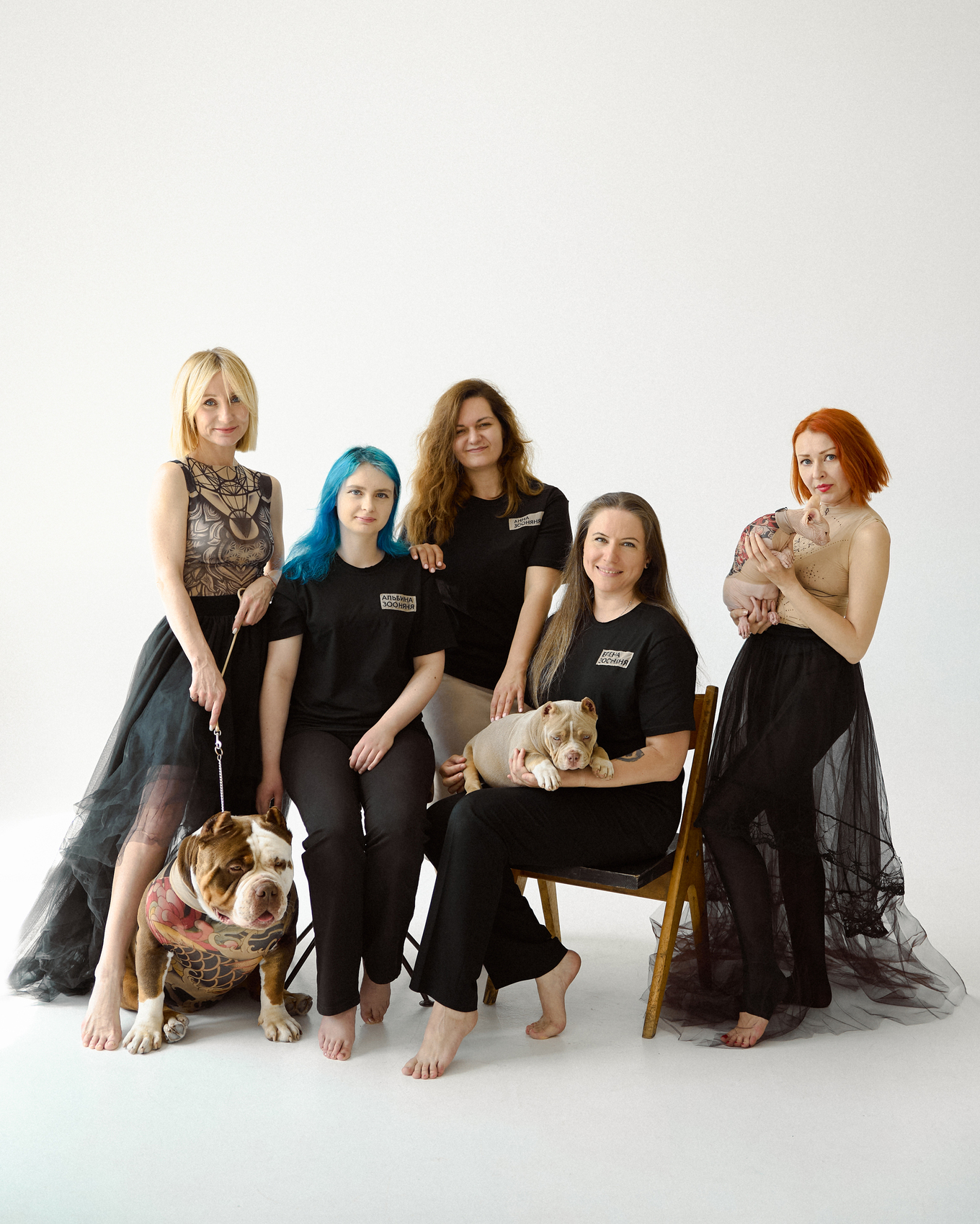 Интеграция бутик-сервисов для питомцев в жилые комплексы