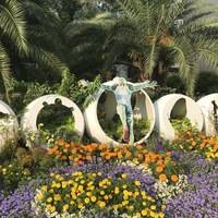 Алексей Домрачев