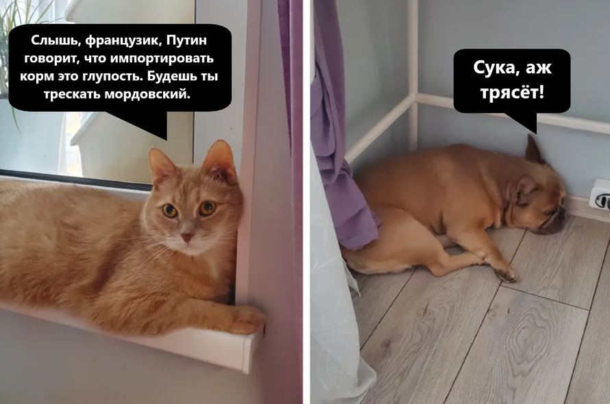 Изображение пользователя Филиппыч