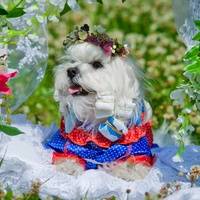 Екатерина Чемакина