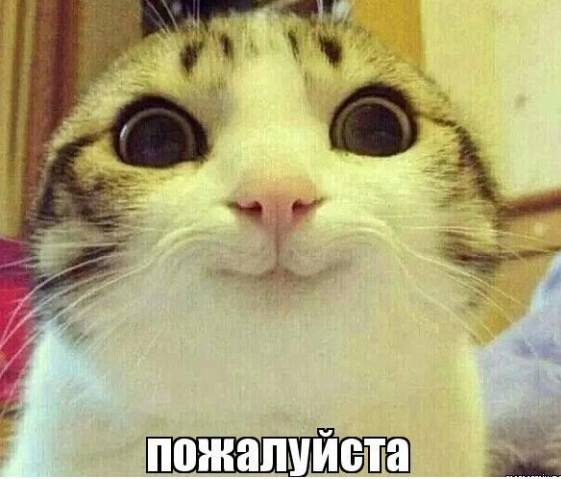 Изображение пользователя Фрёкен Снорк
