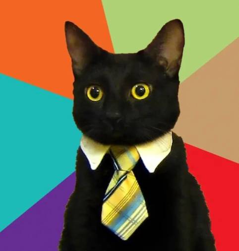 Аватар пользователя Гражданин товарищ кот