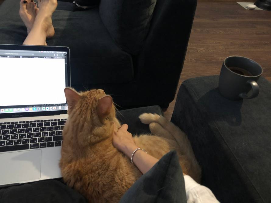 Изображение пользователя devushka.i.kot