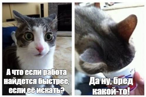 Изображение пользователя Филиппыч