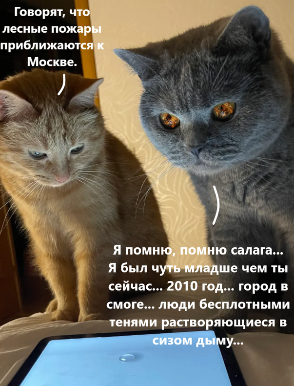 Изображение пользователя Филиппыч