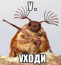 Виталий Зацепин