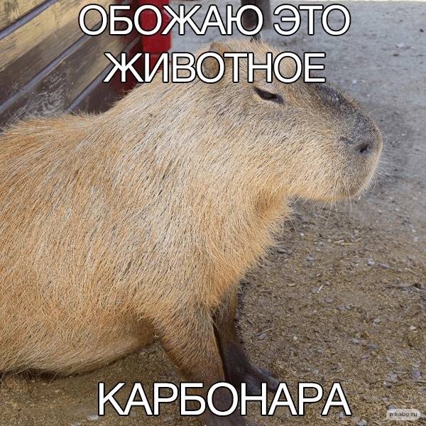 Изображение пользователя Филиппыч